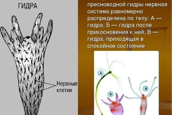 Кракен магазин нарко